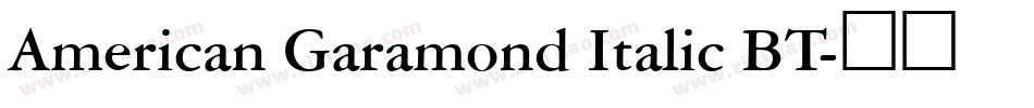 American Garamond Italic BT字体转换